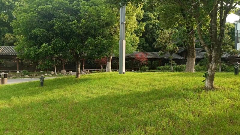 学校绿化养护资质，如何确保校园绿意盎然