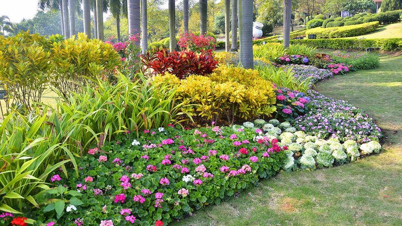 绿化苗木种植成本揭秘：一亩地需要多少投入？**